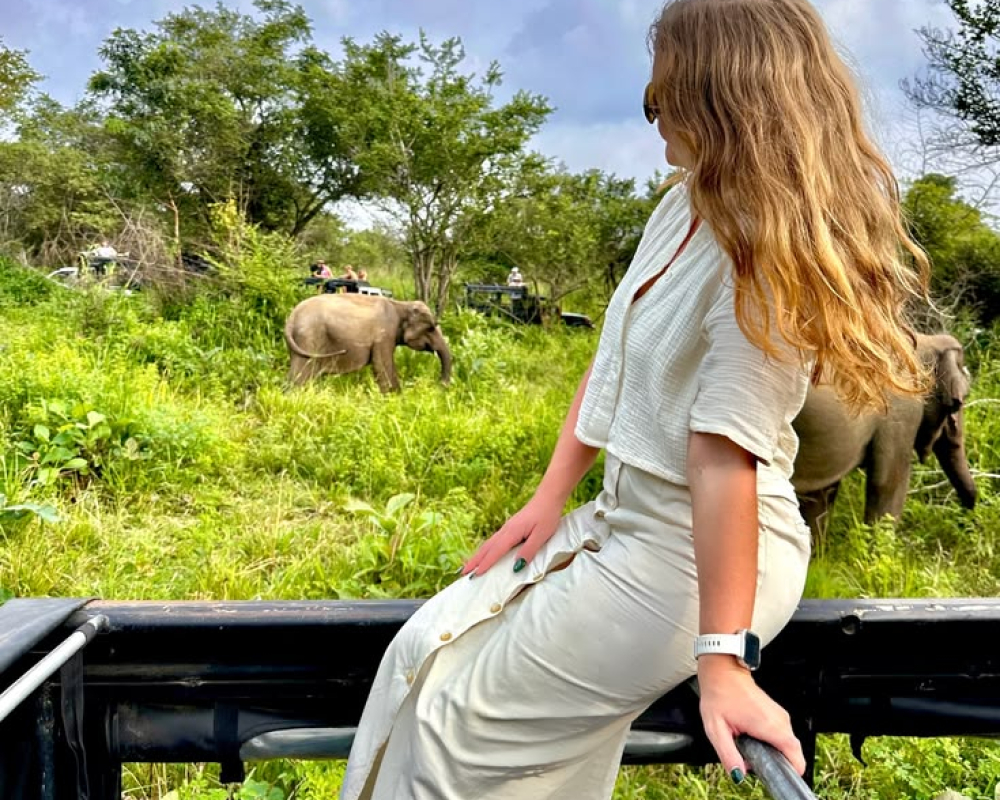 Sri Lankan Heritage & Wildlife