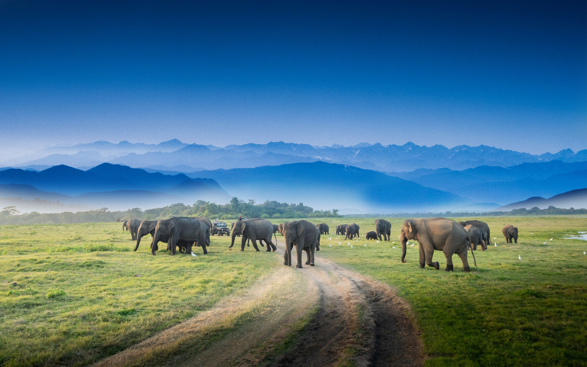 Discover the Beauty of Sri Lanka